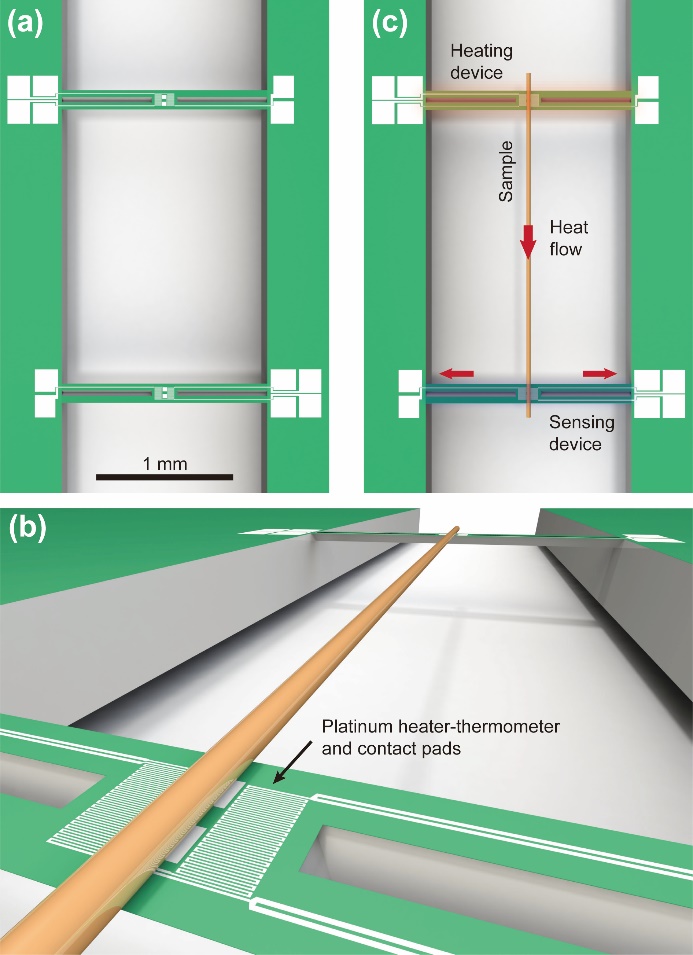 image1.jpeg image1.jpeg